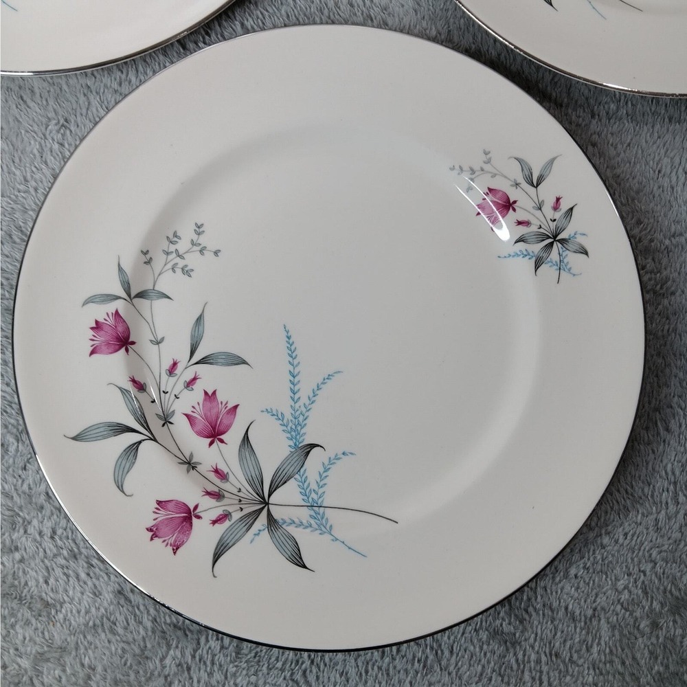 Set of 4 Vintage Royal Monarch 10 5/8" Dinner Plates Fern Valley Platinum